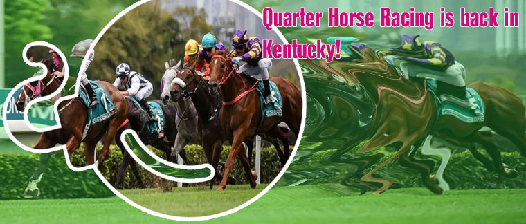 Horse racing gambling app